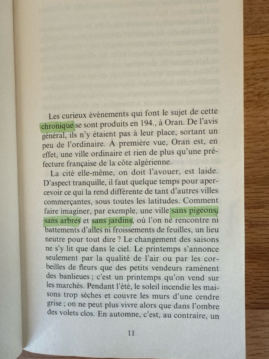 Libri: La Peste von Albert Camus Folio – Usato da Gränichen venduto da cat_lady 3