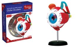 Explora Kit anatomie de l'oeil 32 pcs / Augenanatomie-Set