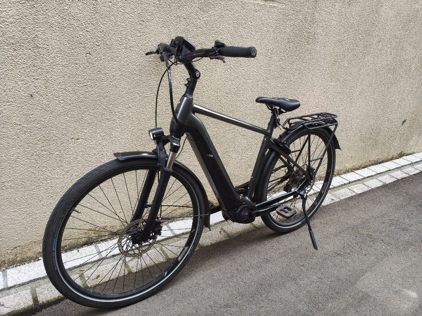 Velos: E-bike Pegasus Grösse L  – Gebraucht aus Nussbaumen AG von Trtznd21 8