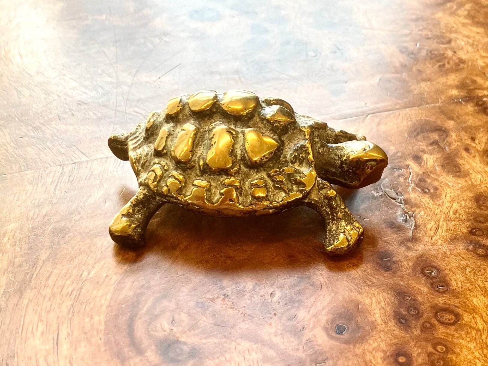 Sculture & Statue: Zwei Vintage Schildkröten aus Messing – Usato da Schaffhausen venduto da NinaRicardo 3