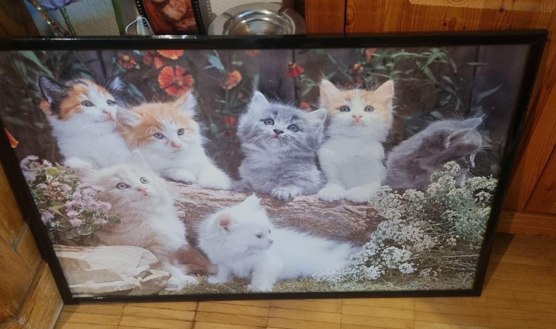 Poster & Bilder: Süsses Katzenbild mit Rahmen gerahmt – Gebraucht aus Basel von Jcva 8