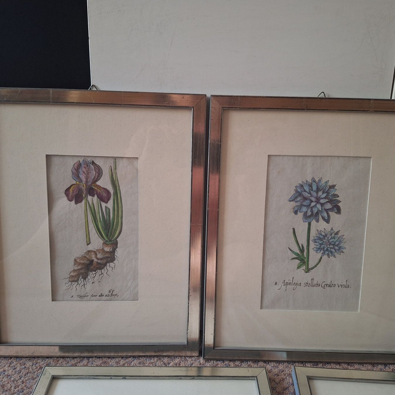 Poster & Bilder: Nostalgische Blumen Bilder silberfarbener Bilderrahmen – Gebraucht aus Winterthur von Goldpipau 1