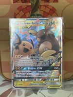 Raichu und aloa raichu pokemon
