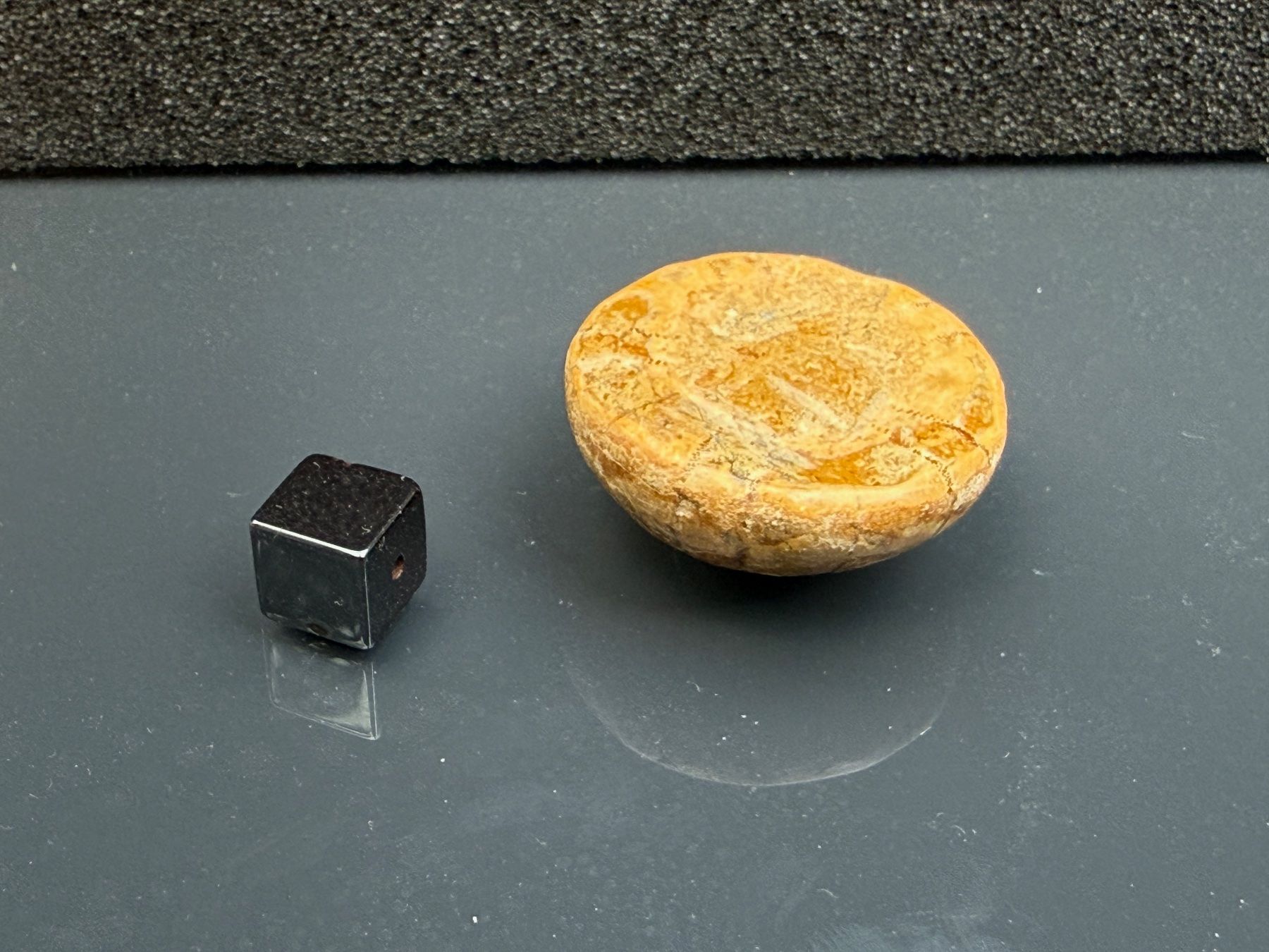 Fossiles: Fossil sea urchin (echinoid) – D'occasion à Vésenaz par RMShop 1