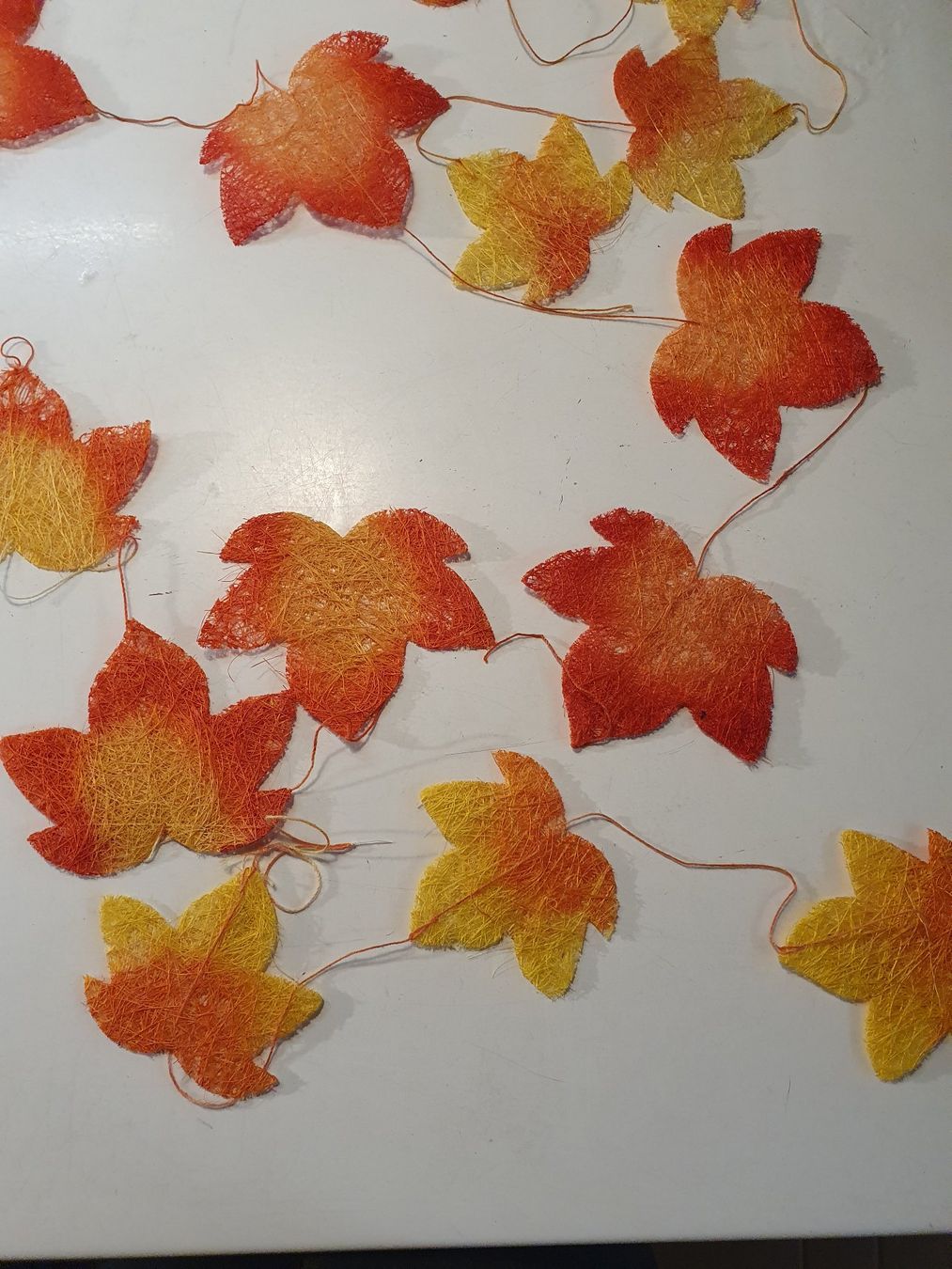 Piante & sementi: Herbstschmuck – Usato da Zürich venduto da loosebone 5