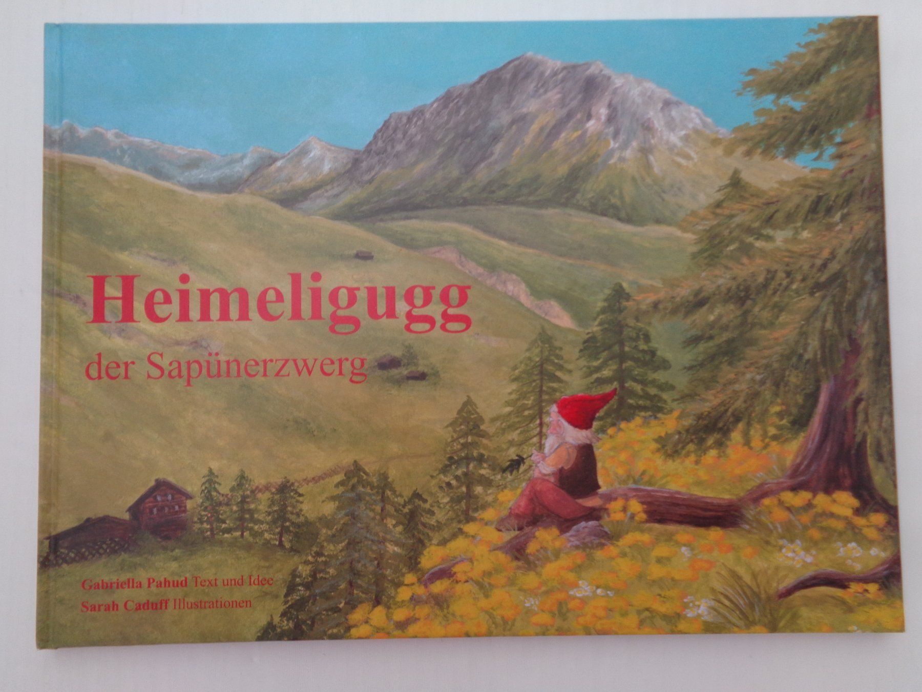 Livres: Heimeligugg der Sapünerzwerg – D'occasion à Chur par Oregano1