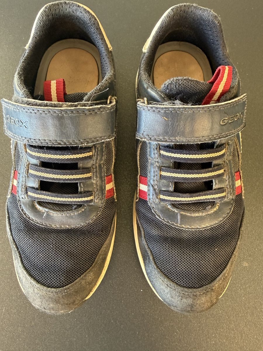 Geox Schuhe für Jungen: Sneakers Geox (Gr. 31) – Gebraucht aus Bern von estrellita2014 2