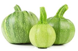 ZUCCHETTI / ZUCCHINI Ronde de Nice / 2 Samen