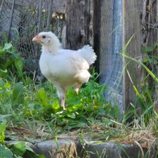 Profile image of Mamamarie