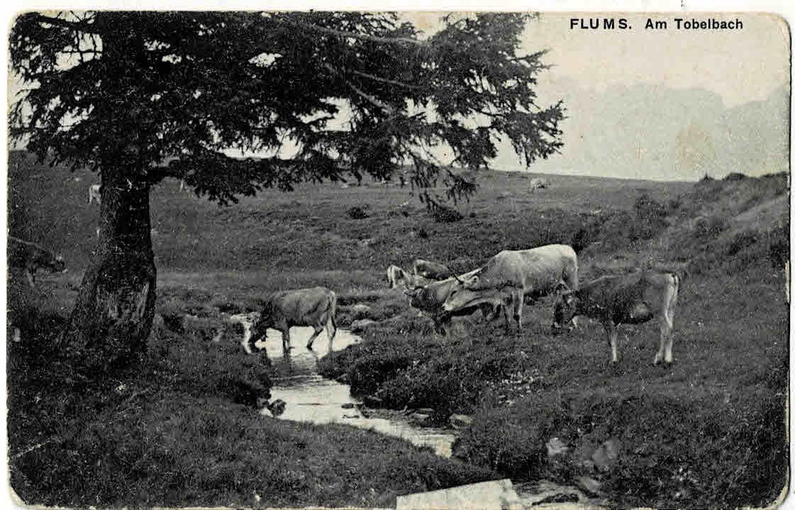 Cartes postales: Flums am Tobelbach 1925 – D'occasion à Sulz AG par Oberdanne8
