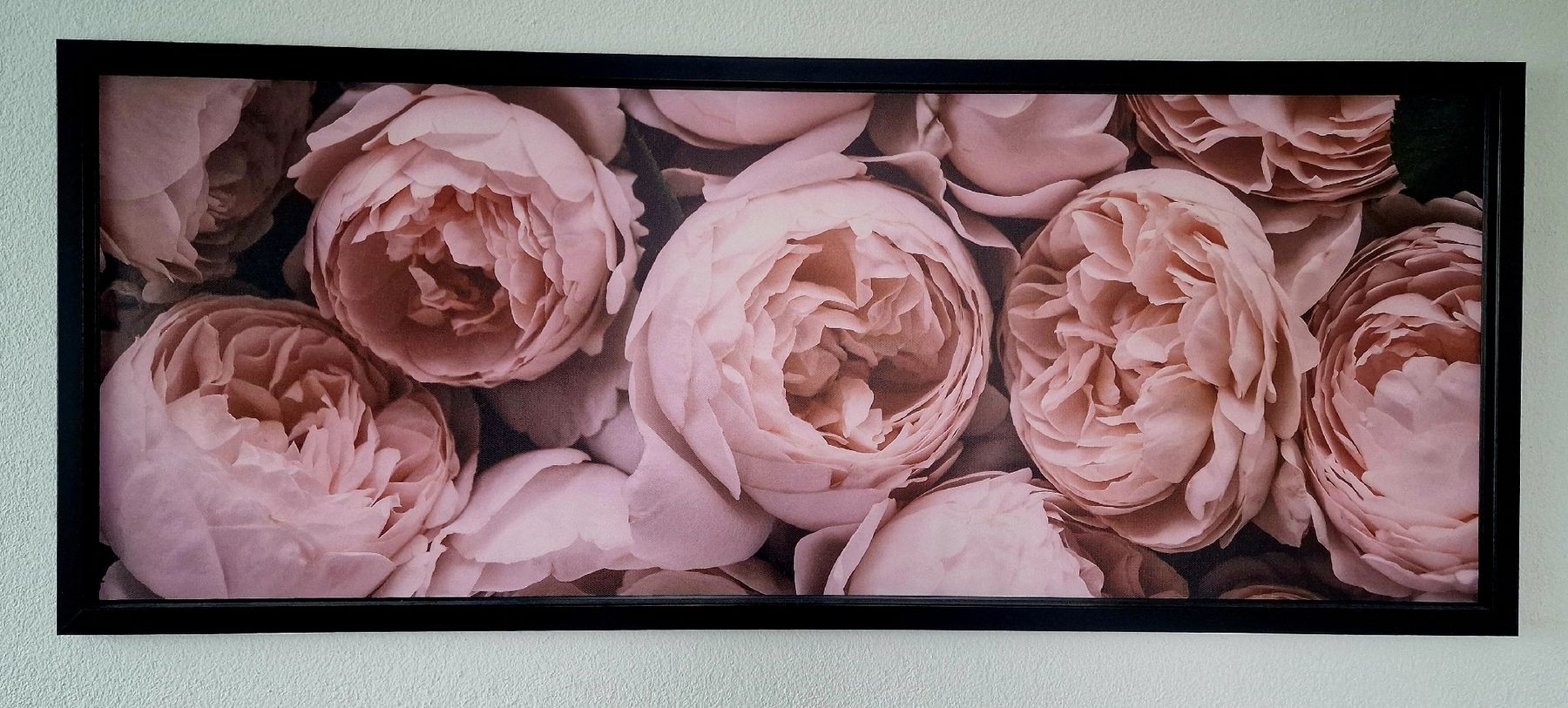 Foto & Immagini: Gerahmtes Bild Pfingstrosen 140x56 cm – Usato da Bätterkinden venduto da SuchenFinden02