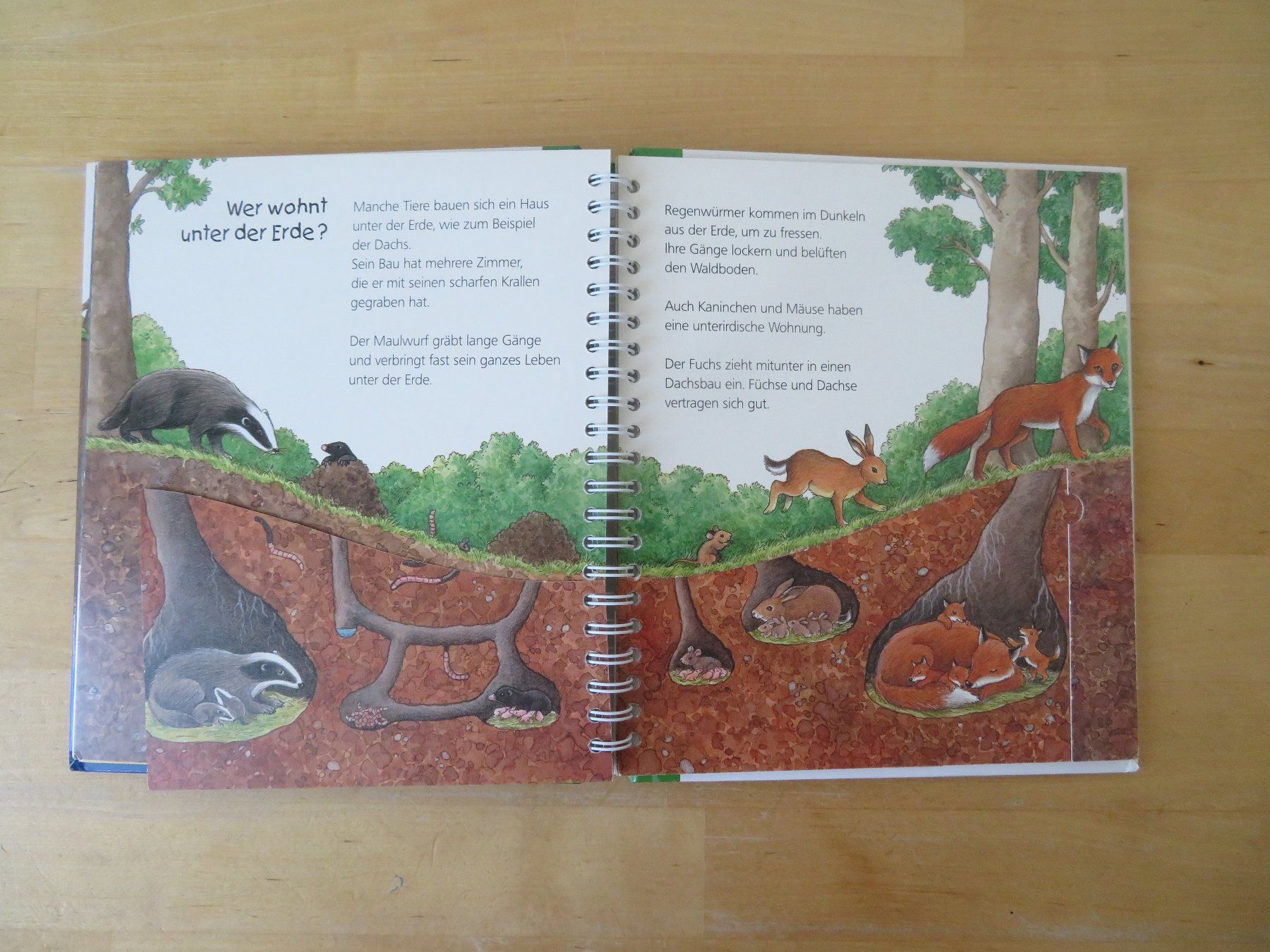 Libri: WIESO? WESHALB? WARUM? Junior "Der Wald" – Usato da Zürich venduto da piroma 3