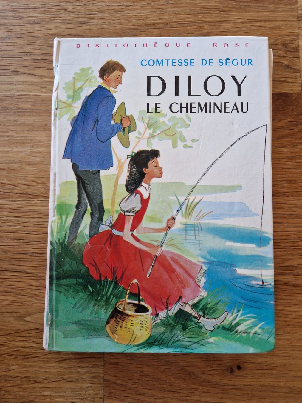 Bücher: Diloy le chemineau, Comtesse de Ségur, Librairie Hachette – Gebraucht aus Vuadens von adrien8