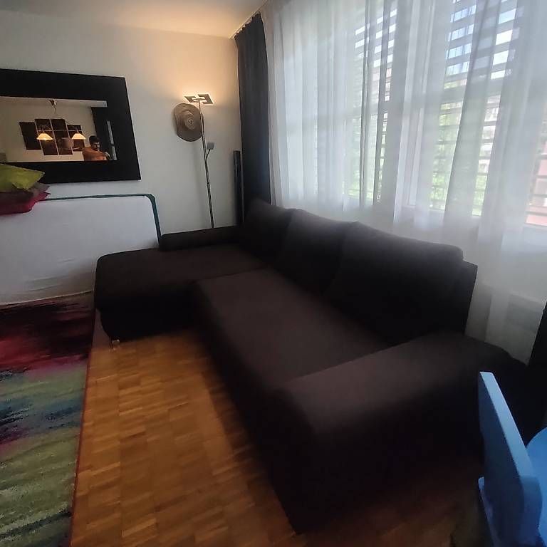 Divani: eckesofa bettsofa – Usato da Zürich venduto da Orkageta 4