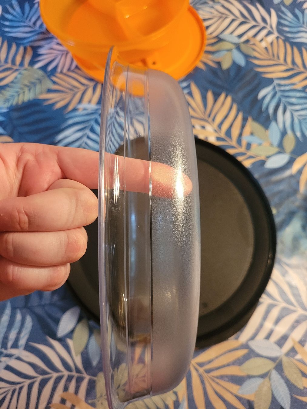 Tupperware Contenitori & Simili: Tupperware schüssel gross und tief, NEU! – Nuovo (secondo la descrizione) da Weingarten-Kalth venduto da Angela0124 2