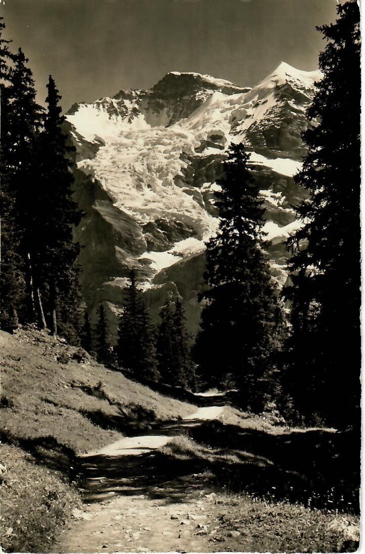 Cartes postales: Wengen – D'occasion à Hochdorf par Ziegel-16