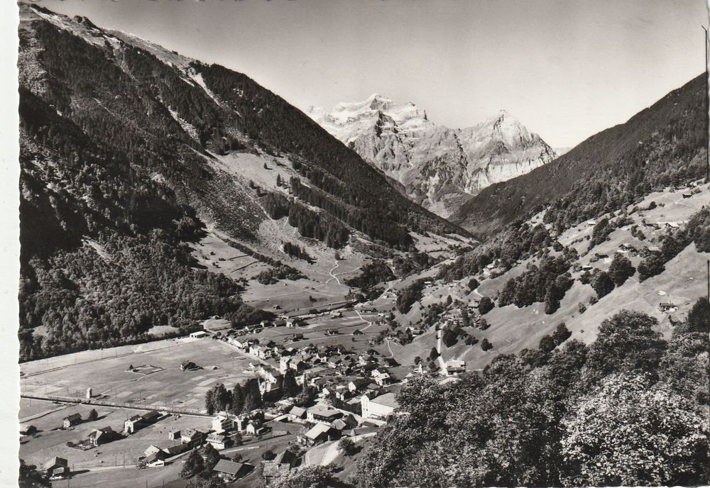 Engi GL Kaufen auf Ricardo