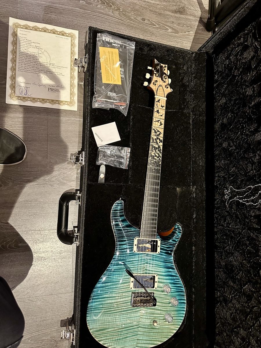 PRS Strumenti musicali: PRS private stock DGT Sub-Zero Dragon's Breath – Usato da Chêne-Bourg venduto da Orionad1