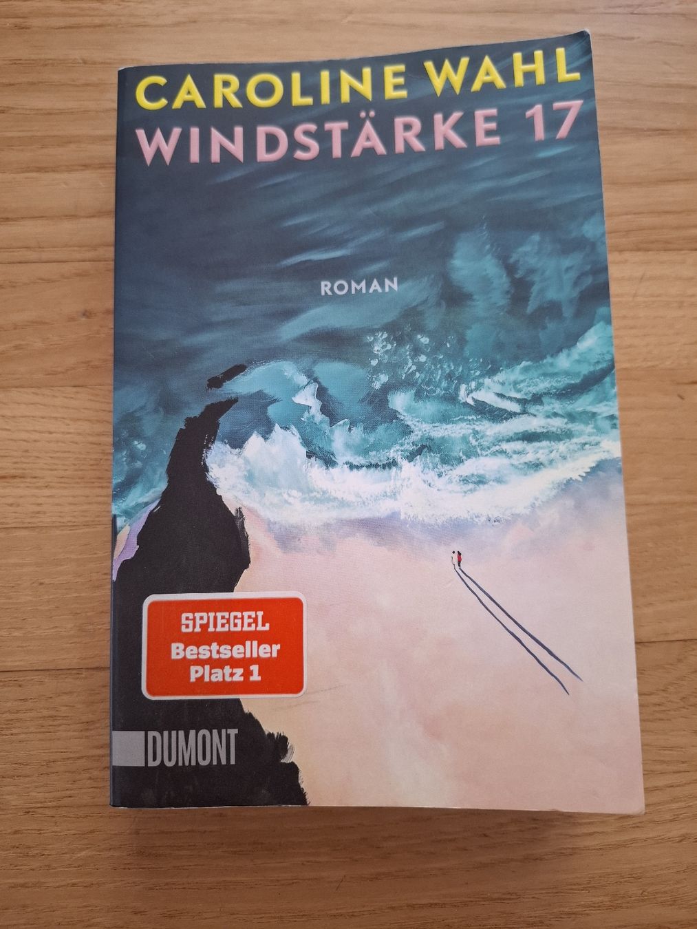 Bücher: Caroline Wahl - Windstärke 17 – Gebraucht aus Gossau ZH von herrerra.25