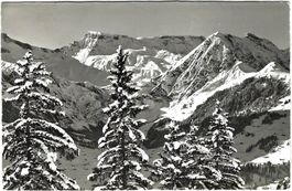 AK Adelboden, Hörnliweg, Wildstrubel und Fitzer