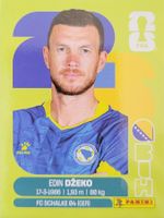 Panini FIFA World Cup BIH 18