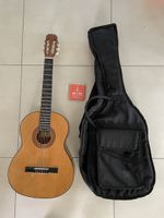 Gitarre Hohner hc06