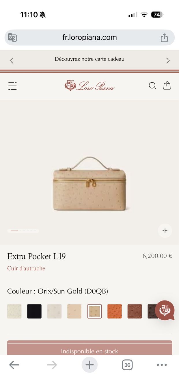 Loro Piana Taschen für Damen: Loro Piana Extra Pocket L19 – Neu (gemäss Beschreibung) aus Wollerau von isa_fx8n 9