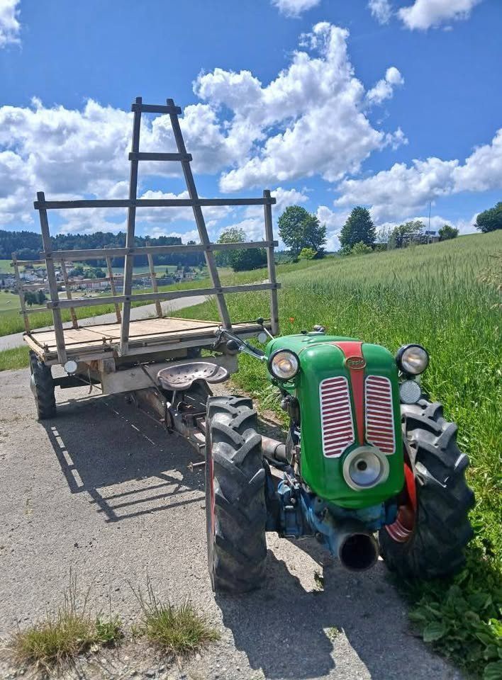 Rapid Trattori: Rapid Spezial – Usato da Beromünster venduto da Irbelale
