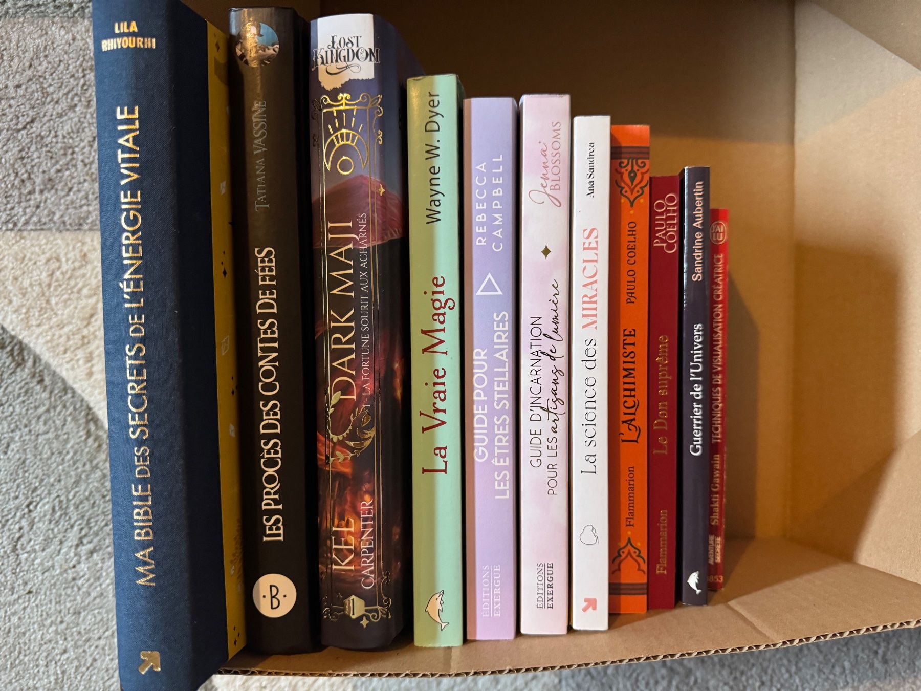 Livres: Sélection de titres 3 : ésotérisme – D'occasion à Chêne-Bourg par dem_y9pq