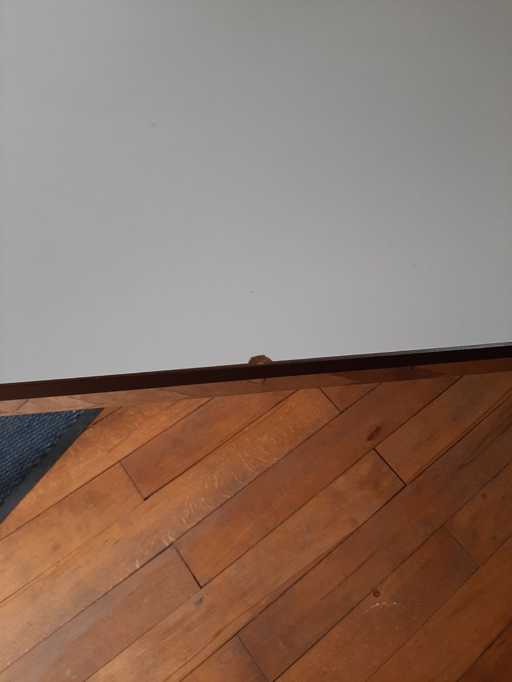 USM Tavoli: 1 USM Trapez Tisch zu verkaufen – Usato da Rothenburg venduto da Schomi3 1