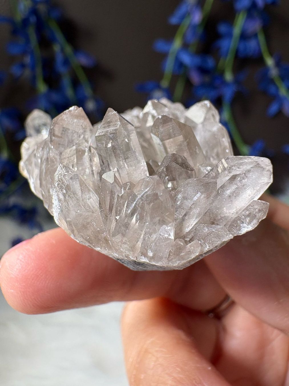 Minerali & Pietre curative: Rauchquarz-Cluster – Nuovo (secondo la descrizione) da Neuheim venduto da m.hald 3