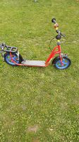Puky Trottinet 