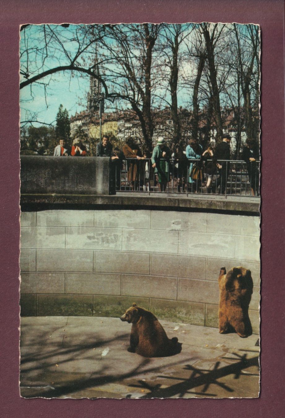 Cartoline postali: BERN - Bärengraben – Usato da Pully venduto da nicecards