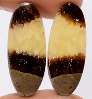 Cabochon Set L-2073 – 1 Paar Septarische Cabochon je 27X10X3