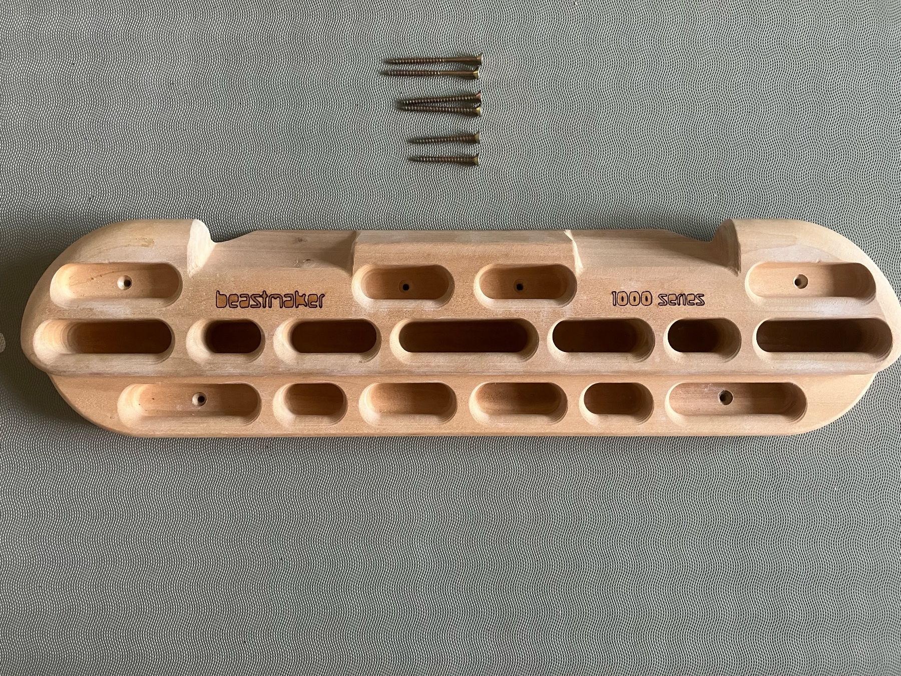 Kletterwände & Klettergriffe: Griffboard Beastmaker 1000 – Gebraucht aus Basel von lisa0103