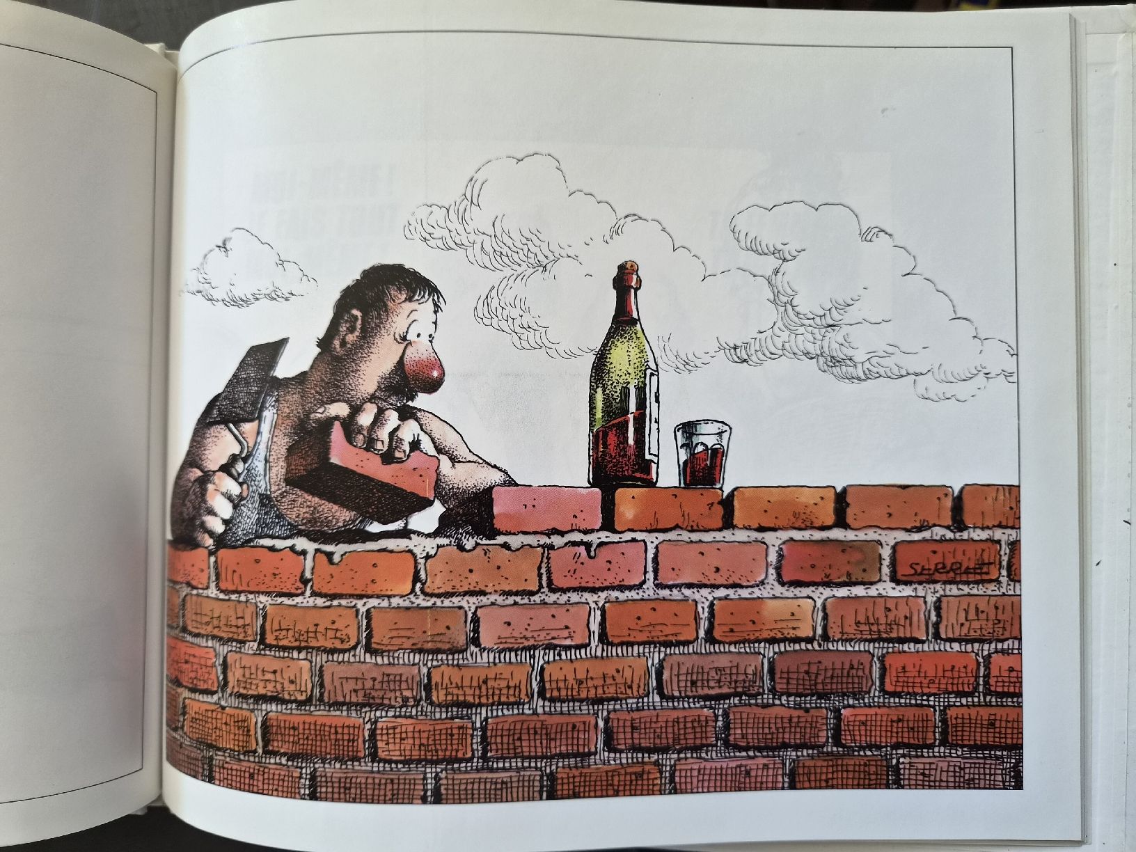 Fumetti: BD Serre le bricolage – Usato da Versoix venduto da rucio 4