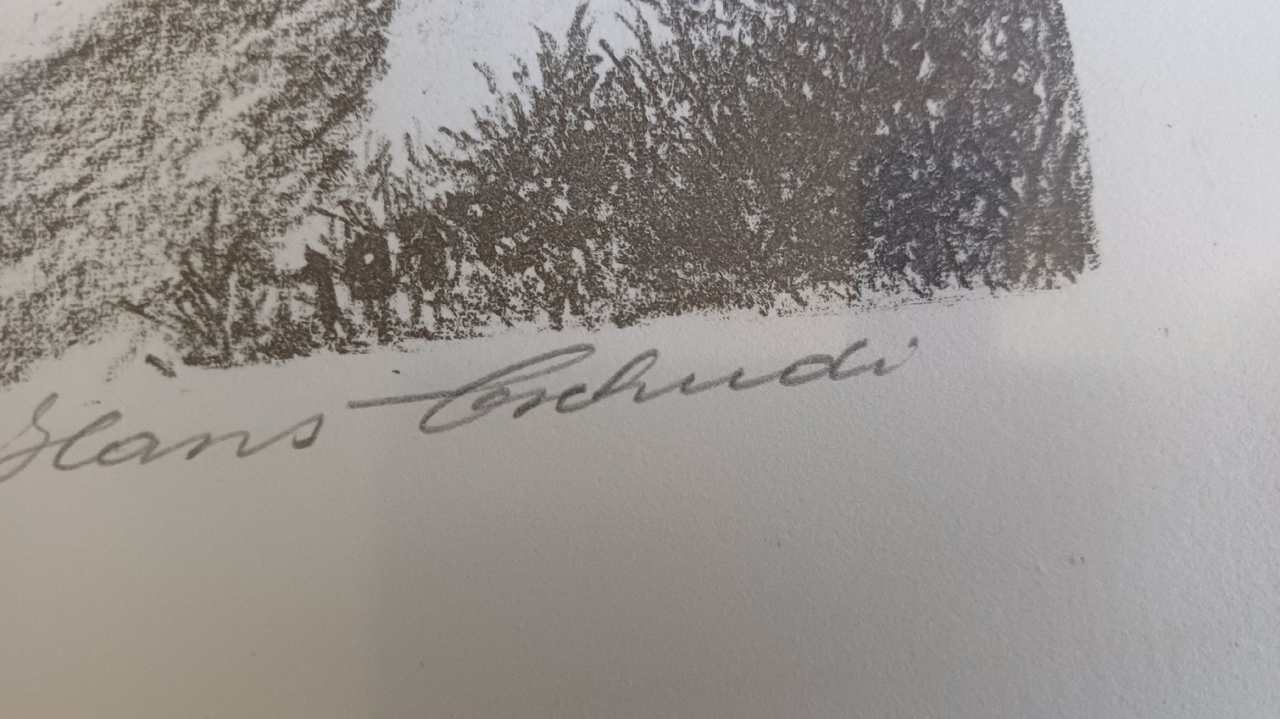 Foto & Immagini: Schönes Bild Von Hans Tschudi  – Usato da Flawil venduto da Naphtali 6