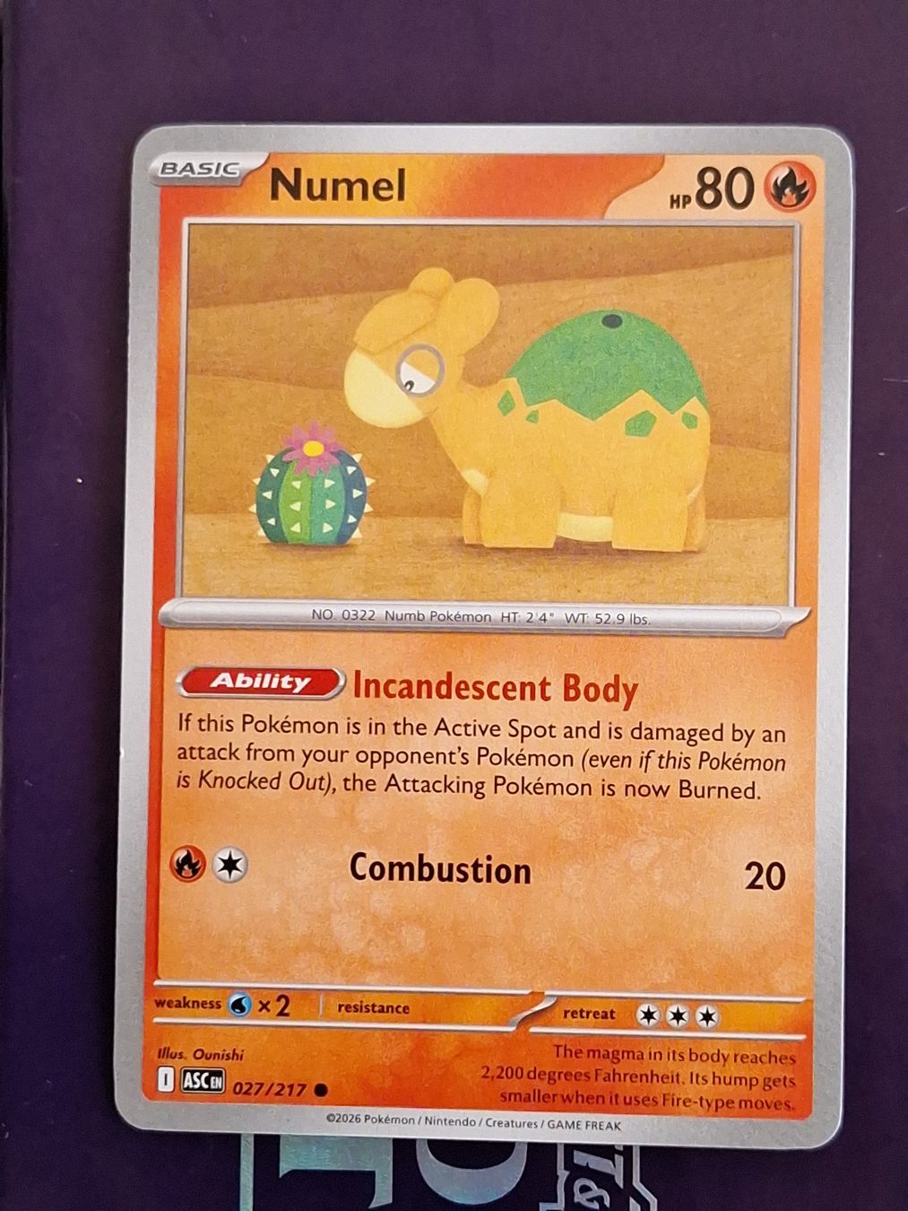Pokémon Carte collezionabili: Numel  - Pokemon Ascended Heroes – Usato da Altstätten SG venduto da GGsGameshop