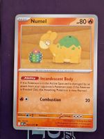 Numel  - Pokemon Ascended Heroes