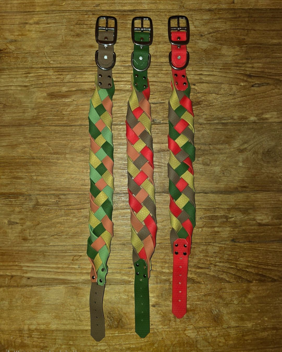 Collier et laisse: Halsband – Neuf (Voir description) à Müselbach par reg_v5fz 6