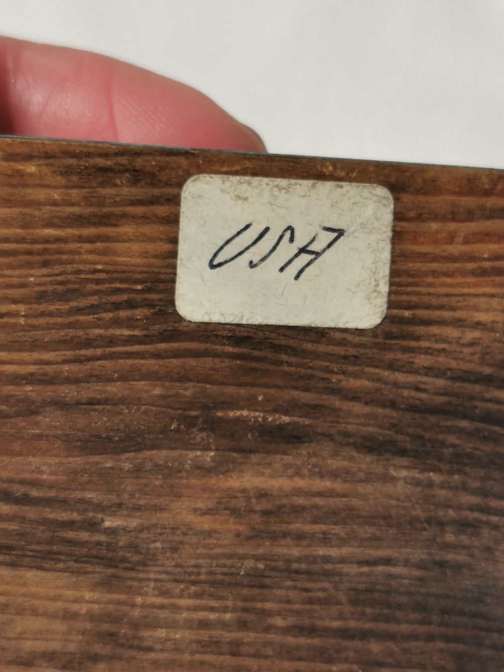 Fossili: Baculites fossil – Usato da Basel venduto da Treasurehunter 7