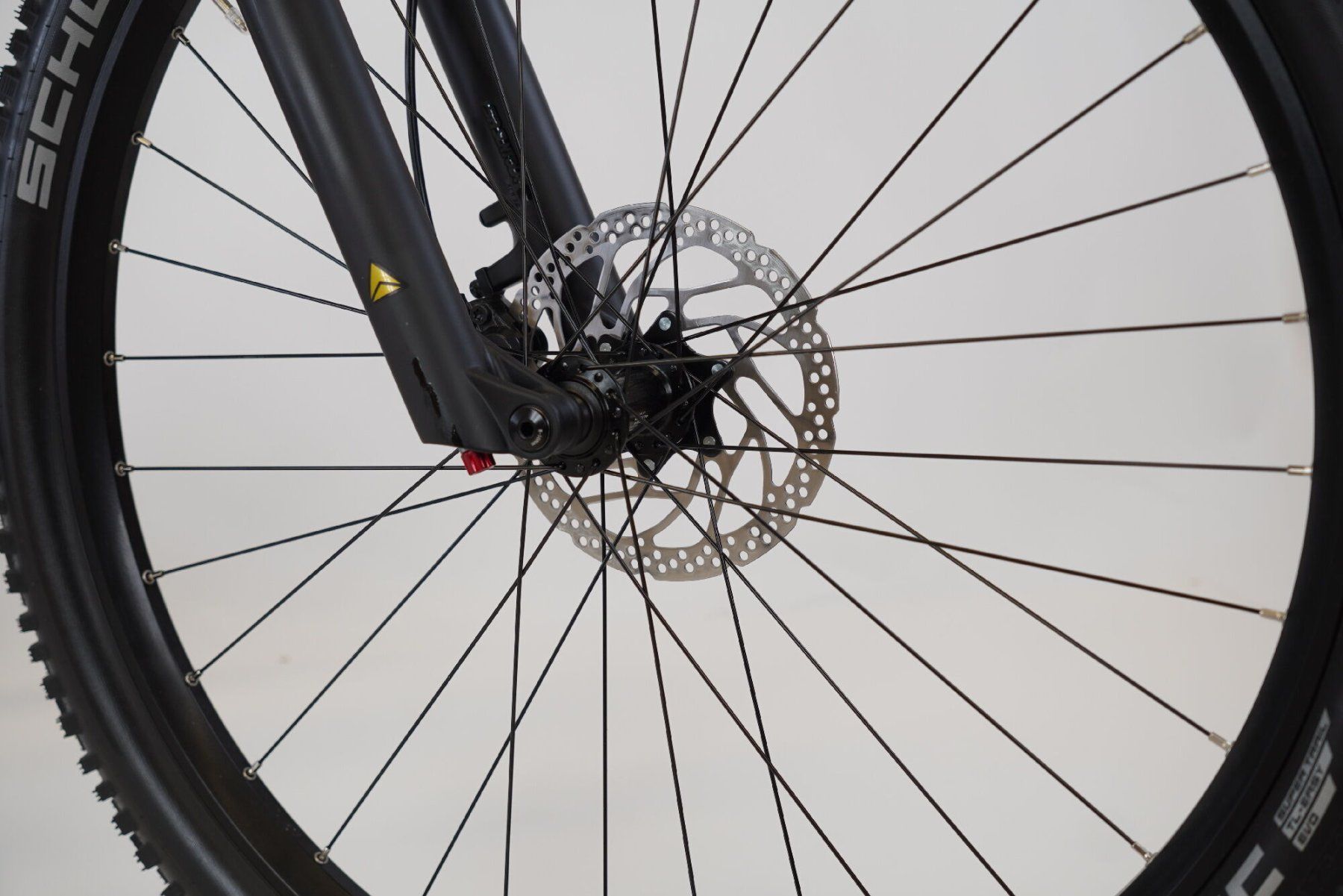 Bergamont Biciclette: Neuers Bergamont E-Revox Sport 10 - Grösse M – Nuovo (secondo la descrizione) da Bütschwil venduto da velothek-outlet 2