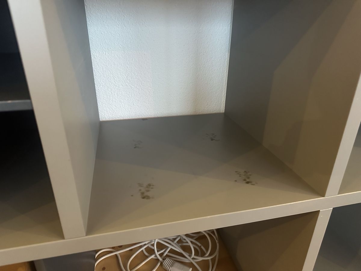 Commodes: Sideboard – D'occasion à Seengen par ben_59d2 2