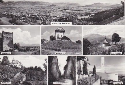 Cartoline postali: St.Galler Rheintal, Alte Ansichtskarte mit 4 Bilder. – Usato da Schlieren venduto da Rapaelli