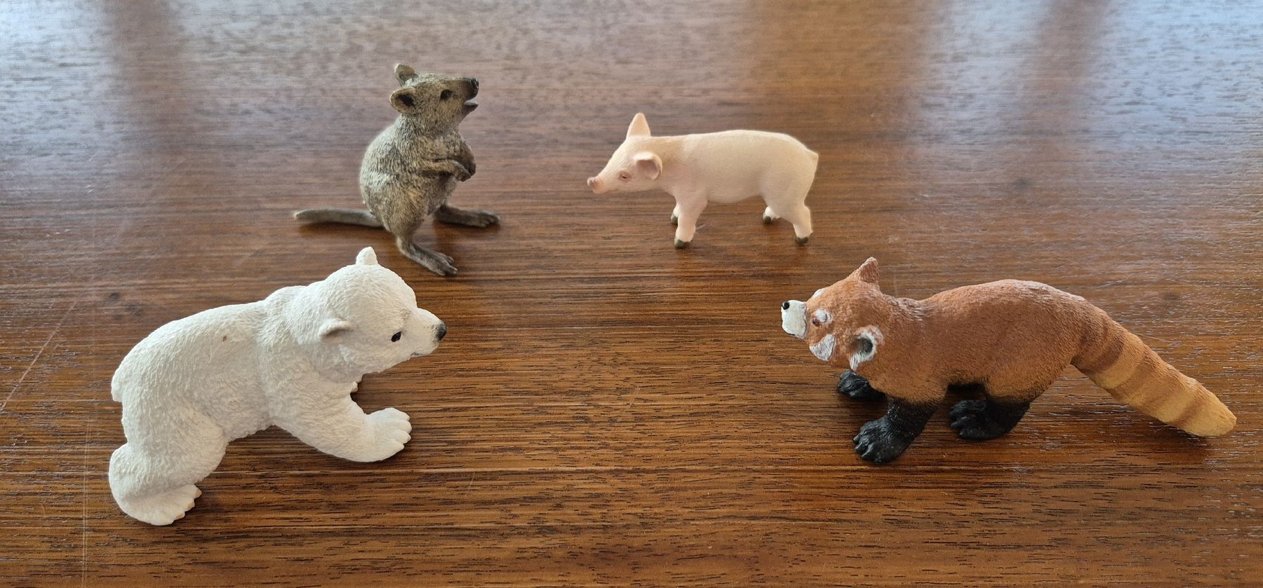 Schleich Statuette: 4-teiges Schleich-Tiere-Set  – Usato da Volketswil venduto da Sbloona 1