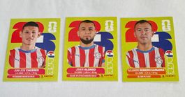 Panini FIFA World Cup WM 2026 - PARAGUAY - PAR 6 - 8 - 16