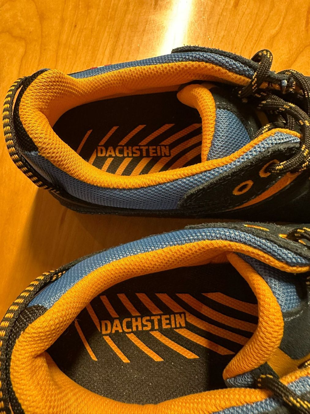 Scarpe da uomo: Dachstein Schuhe Grösse 42 – Nuovo (secondo la descrizione) da Burgdorf venduto da interstellar2 2