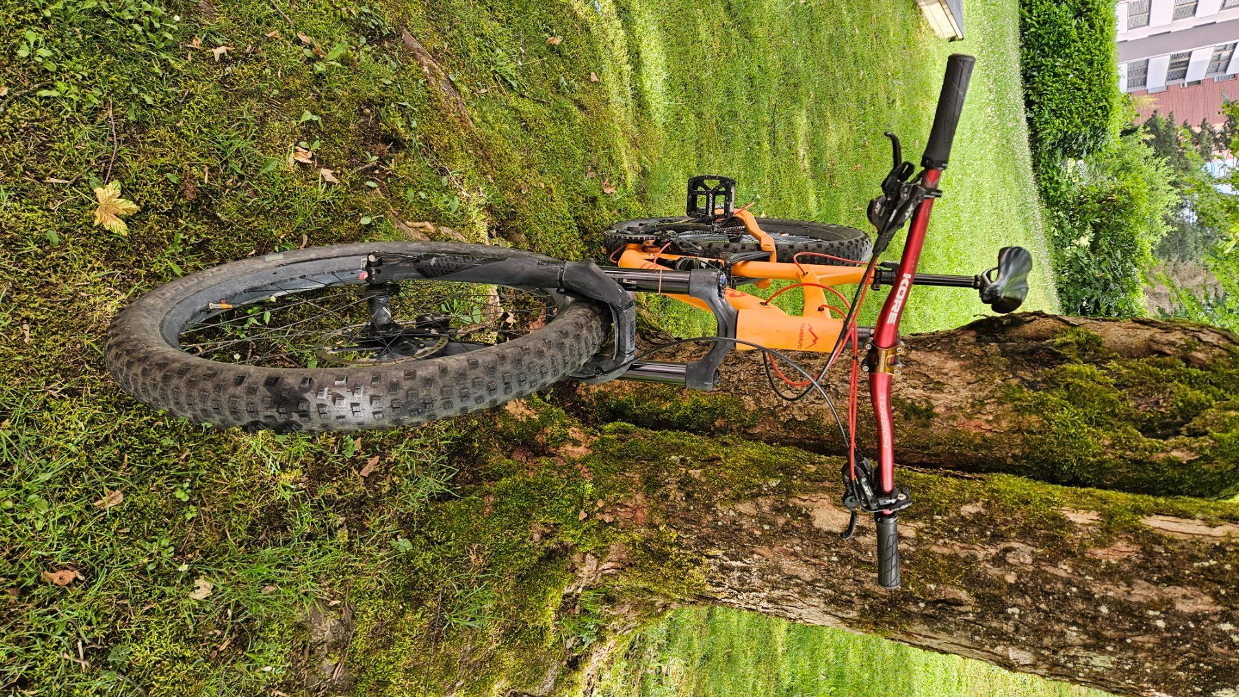 Biciclette: Transalpes AM Plus – Usato da Cham venduto da ren_lh9z 7