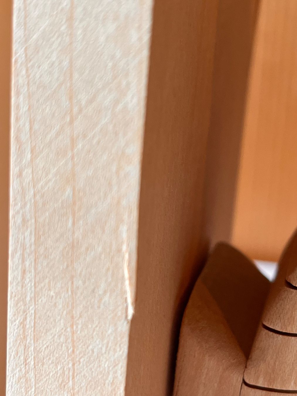 Altro in Decorazioni & Accessori: WWF Buchstützen Holz – Usato da Saanen venduto da Tricha02 1