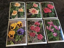 6 alte Postkarten ungelaufen Blumen Motiv